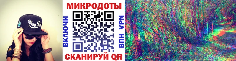 Псилоцибиновые грибы Psilocybe  купить наркоту  Кяхта 